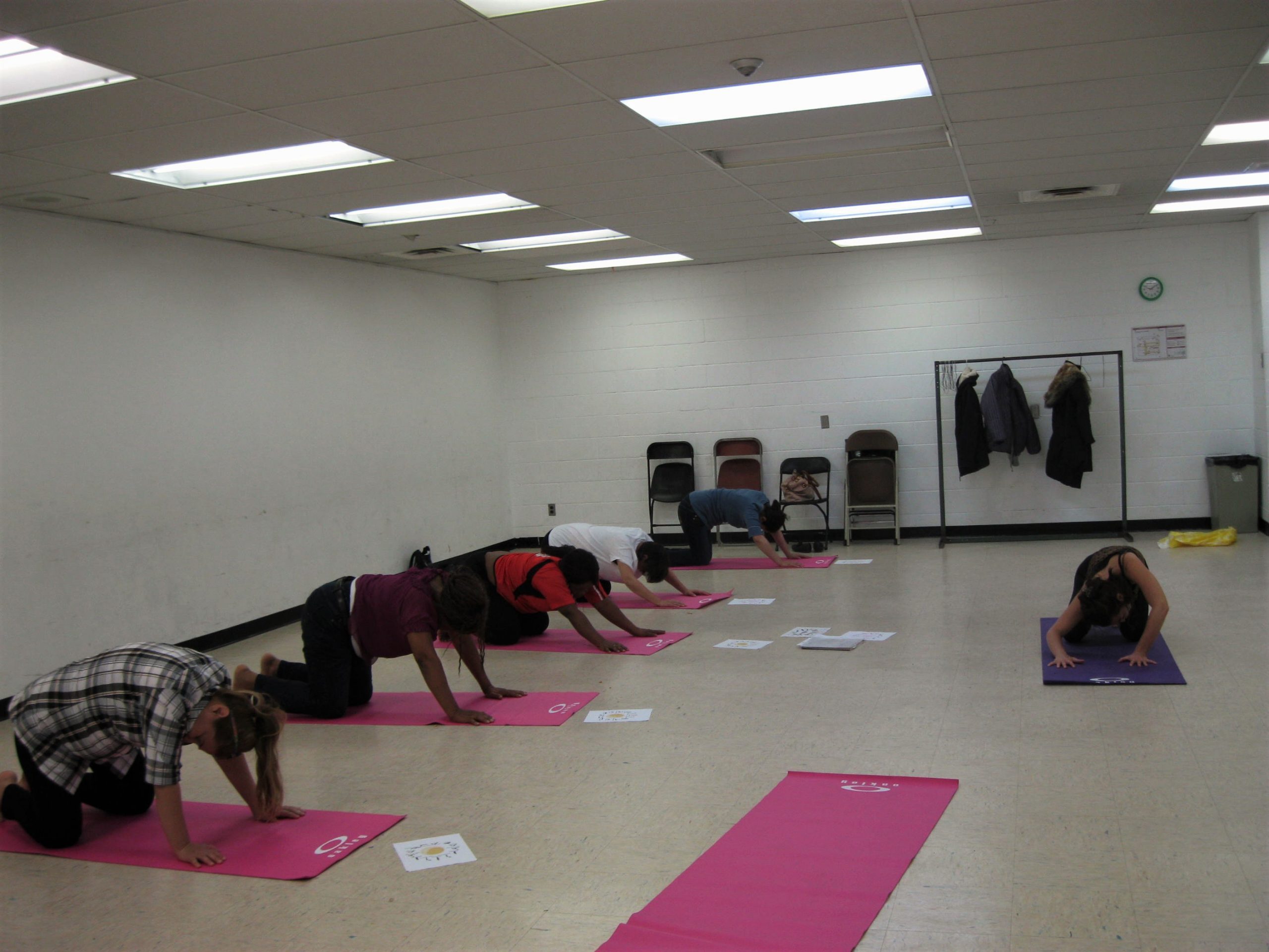 Des femmes diverses font du yoga sur des tapis rose